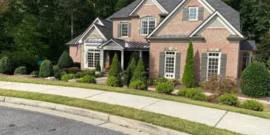 Landscape Design Consultation