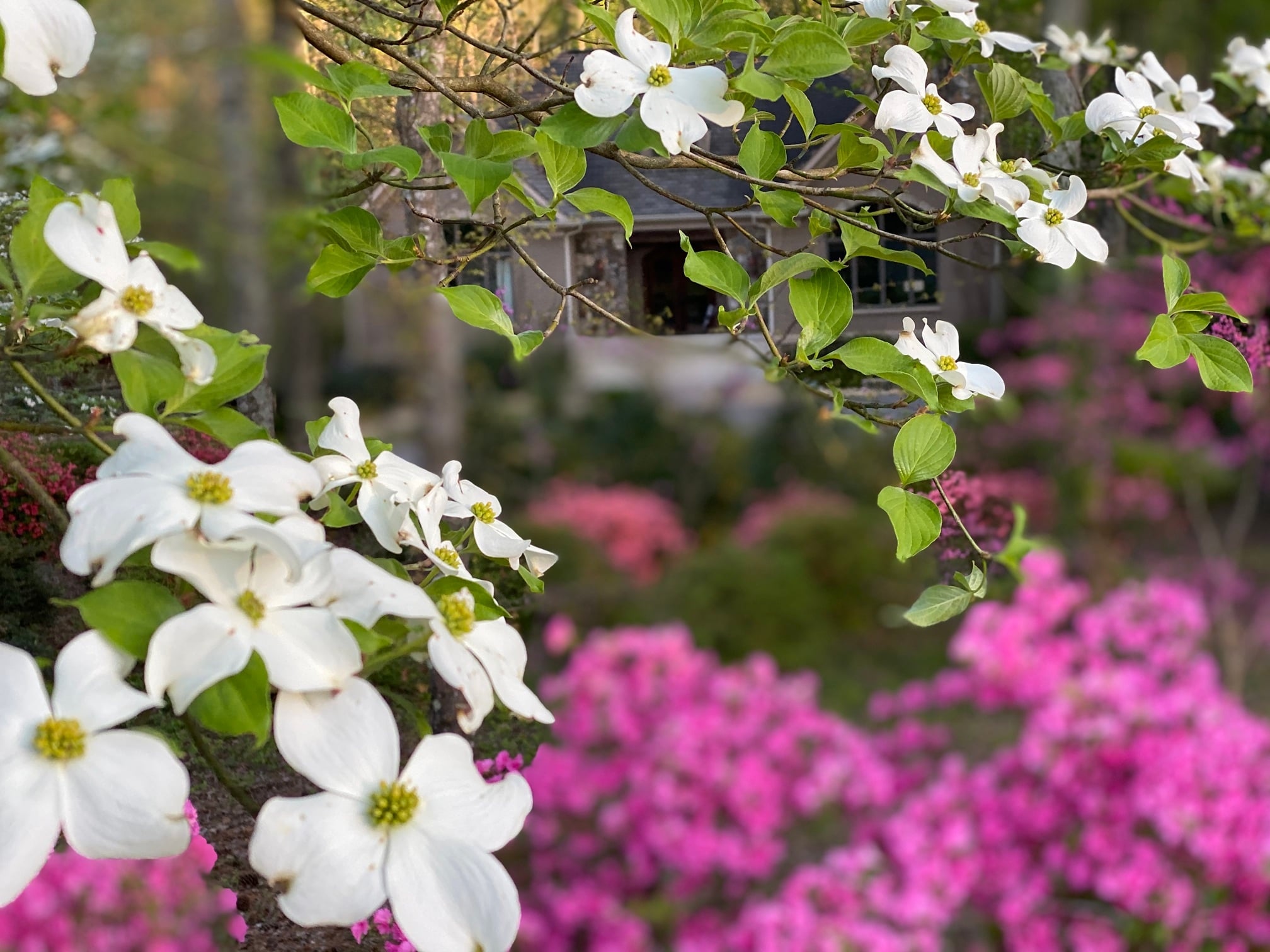 Douglas County landscaping