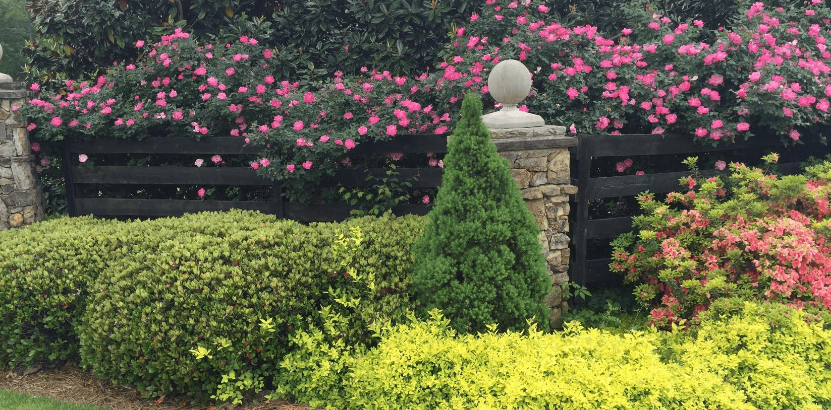 Georgia Natural Scapes landscaping project background