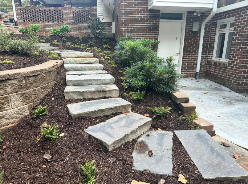 Passion for Excellence